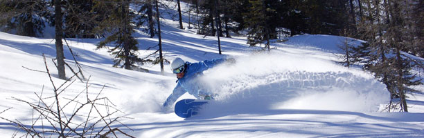 Fischis Qualitätsskischule Flachau